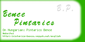 bence pintarics business card